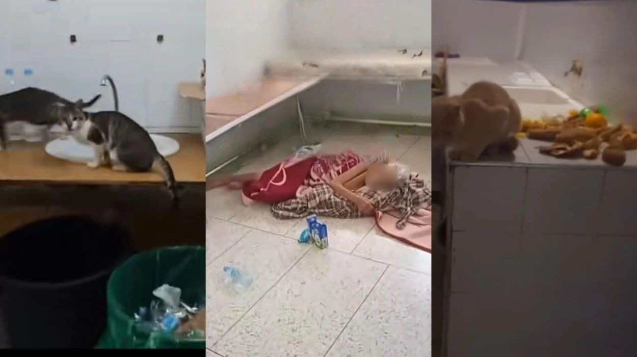 Shortages, sanitation issues and corruption Morocco’s public hospitals at a breaking pointerry Breton
